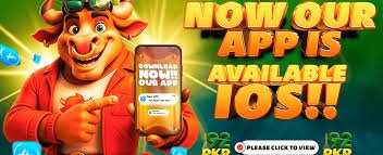 winpkr games pakistan
